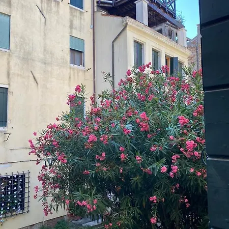 The Glamour Of San Marco Apartamento *